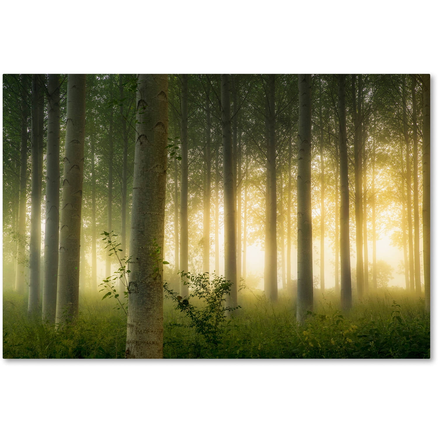 Mathieu Rivrin 'Enchanted World' Canvas Art 16 x 24