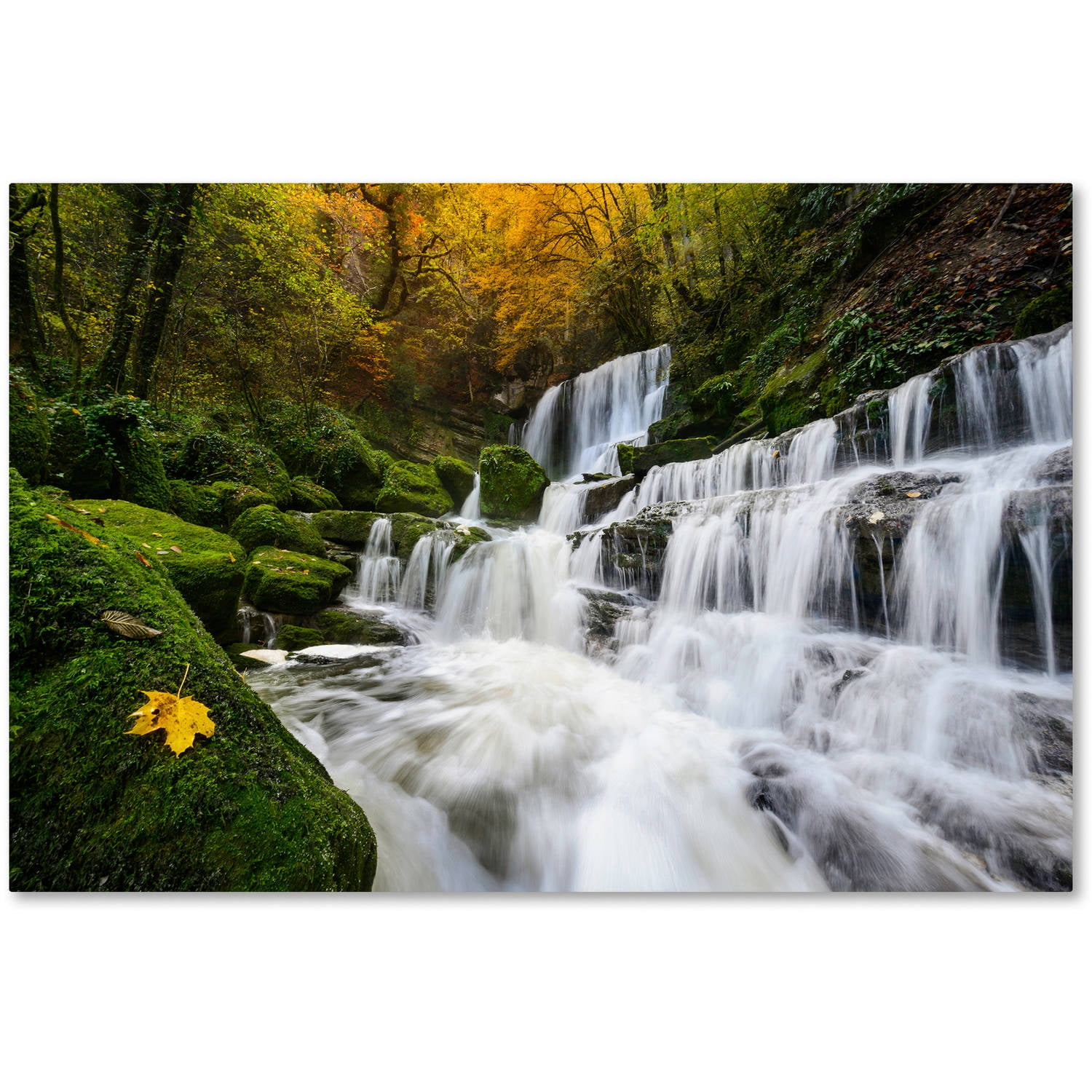 Trademark Fine Art Mathieu Rivrin 'The Song of the Autumn' 30 x 47 (RV0042-C3047GG)