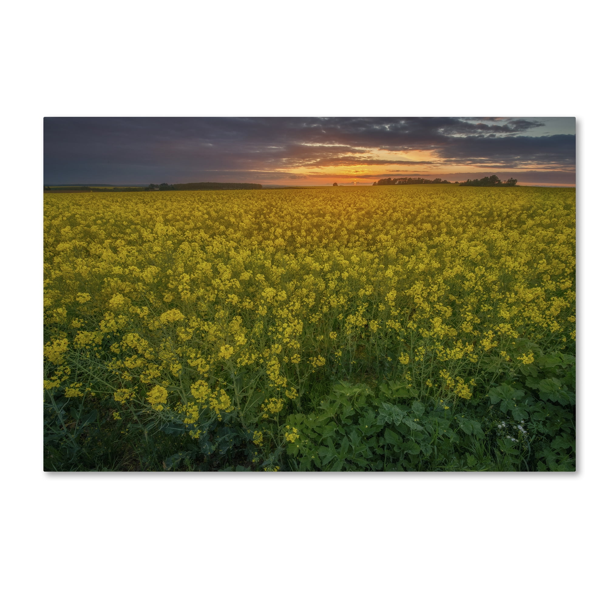 Mathieu Rivrin 'Yellow Planet' Canvas Art 16 x 24