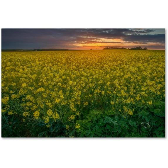 Trademark Fine Art Mathieu Rivrin 'Yellow Planet' 30 x 47 (RV0044-C3047GG)