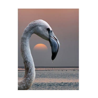Trademark Fine Art Mathilde Guillemot This Is My World Canvas Wall Art