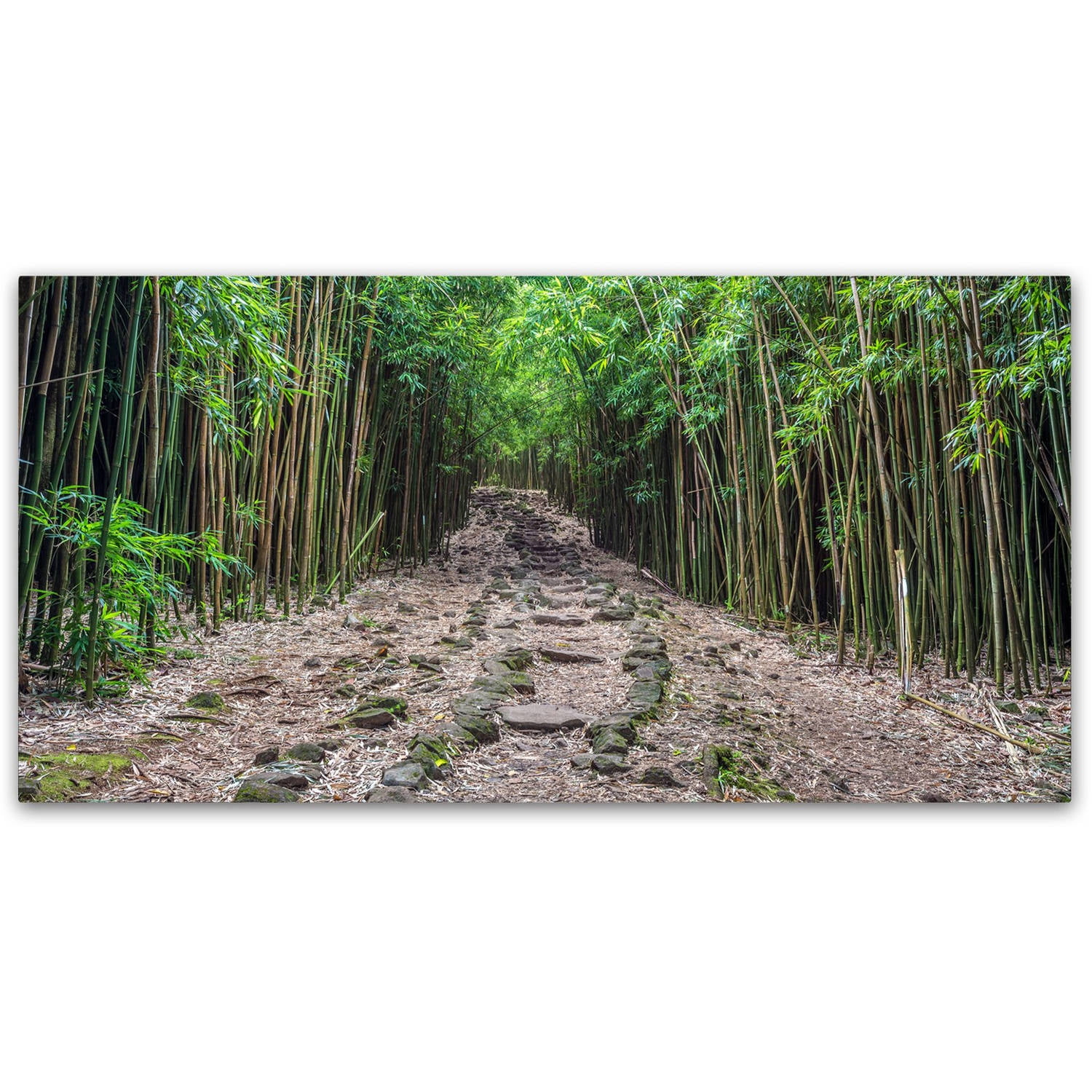 Gold Framed Landscape Canvas Art with Bamboo Forest