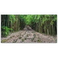 thumbnail image 1 of Trademark Fine Art 'Maui Bamboo Forest' Canvas Art by Pierre Leclerc, 1 of 4