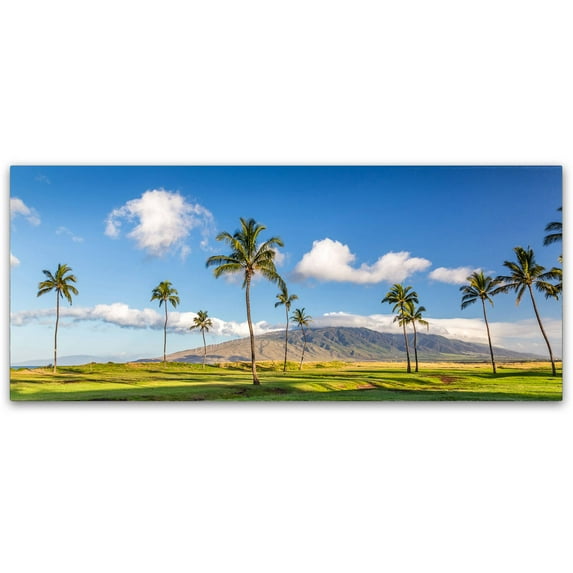Trademark Fine Art 'Maui Island' Canvas Art by Pierre Leclerc