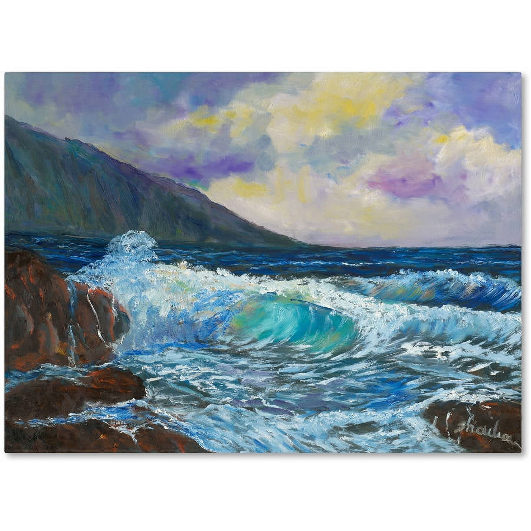 Trademark Fine Art "Maui's Enchanting Seas" Canvas Art by Manor Shadian