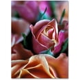 thumbnail image 1 of Trademark Fine Art "Mauve and Peach Roses" Canvas Art by Kathy Yates, 1 of 3