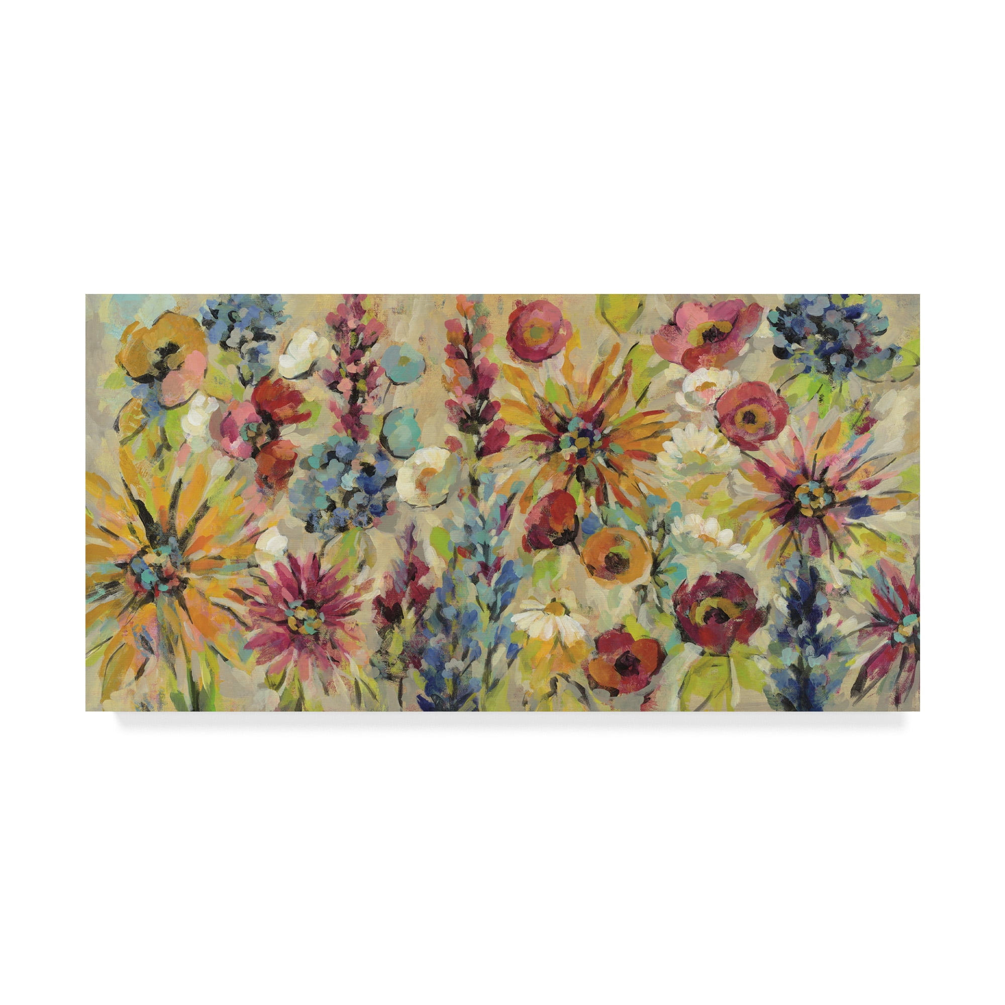 Trademark Fine Art 'May Garden' Canvas Art by Silvia Vassileva