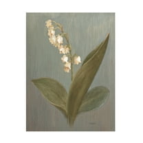 Trademark Fine Art 'May Lily of the Valley Green' Canvas Art by Danhui Nai