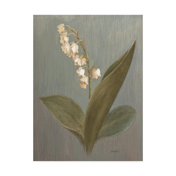 Trademark Fine Art 'May Lily of the Valley Green' Canvas Art by Danhui Nai