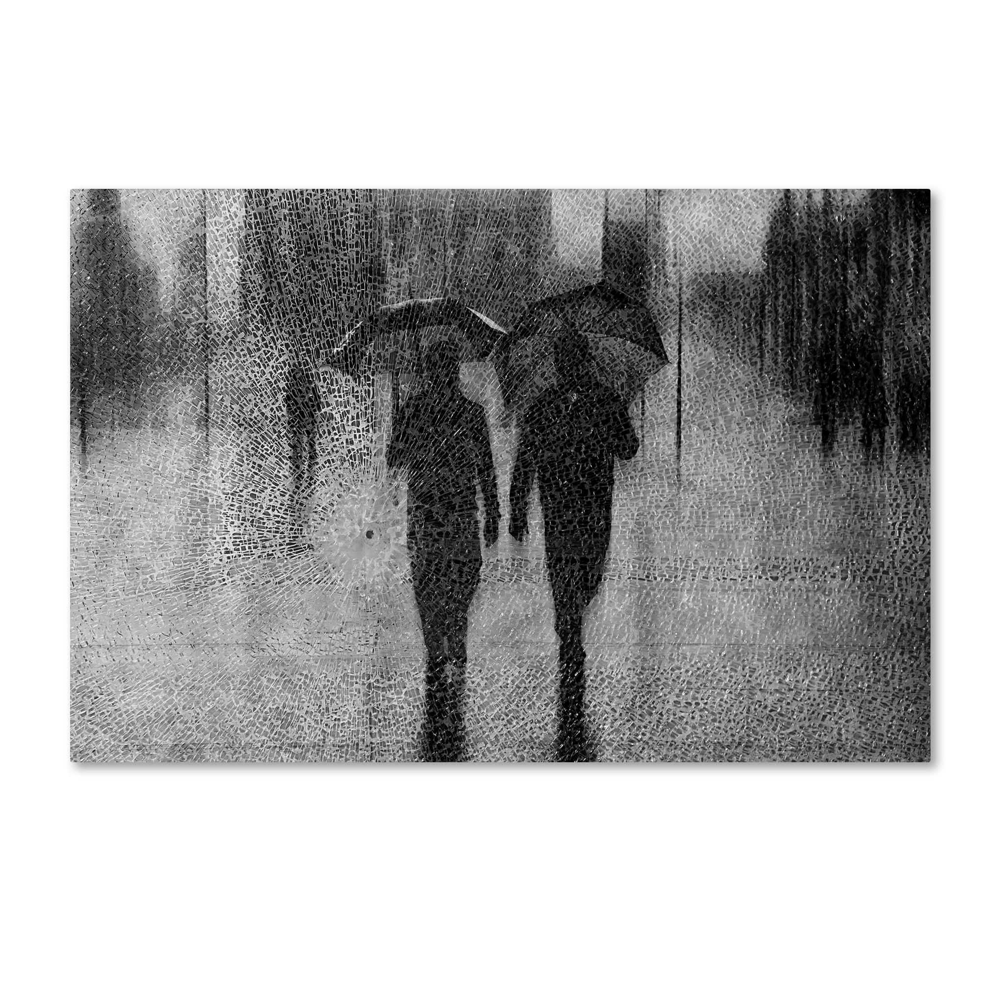 Trademark Fine Art 'May The Odds' Canvas Art by Roswitha Schleicher Schwarz
