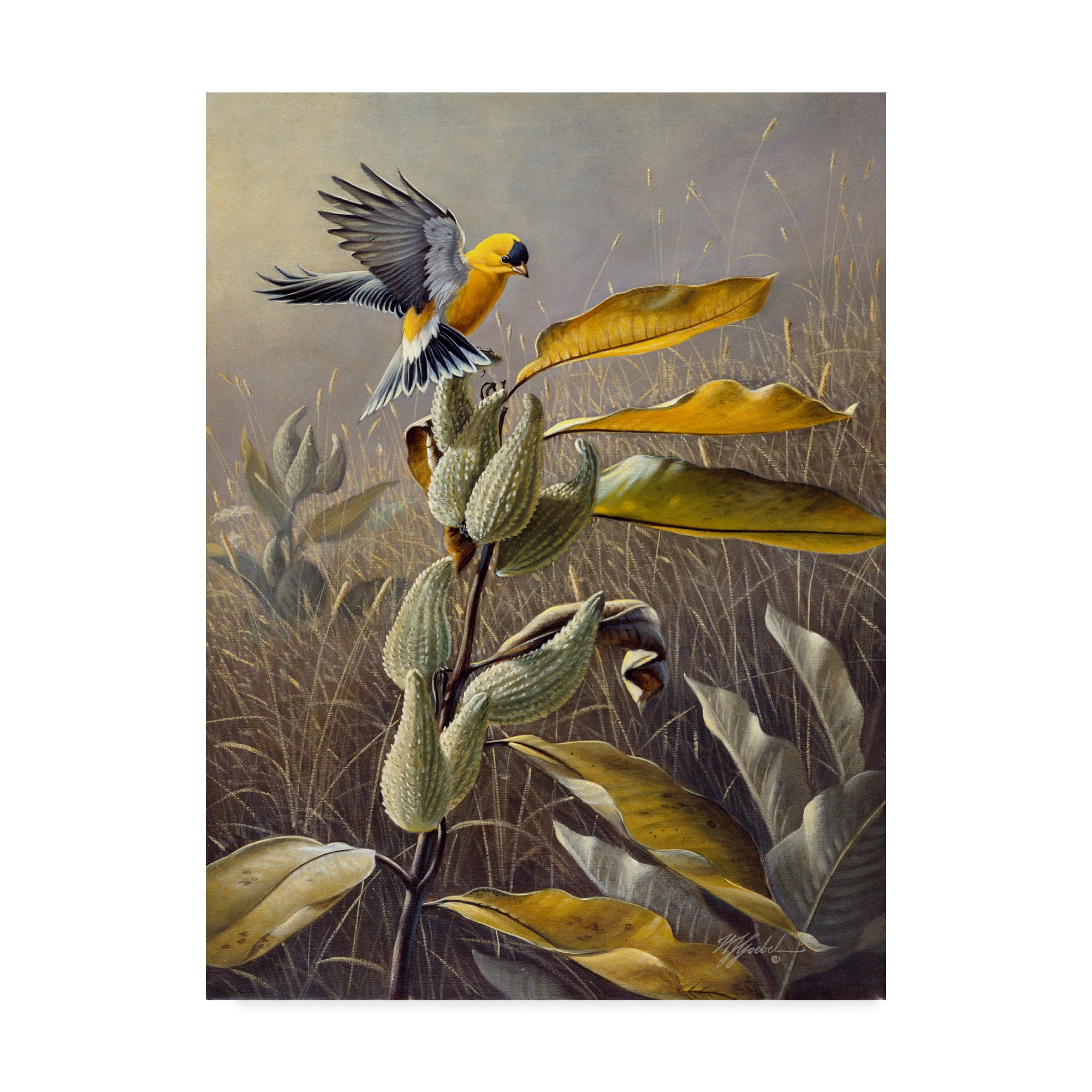 Trademark Fine Art 'Meadow Gold' Canvas Art by Wilhelm Goebel