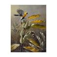 thumbnail image 1 of Trademark Fine Art 'Meadow Gold' Canvas Art by Wilhelm Goebel, 1 of 3