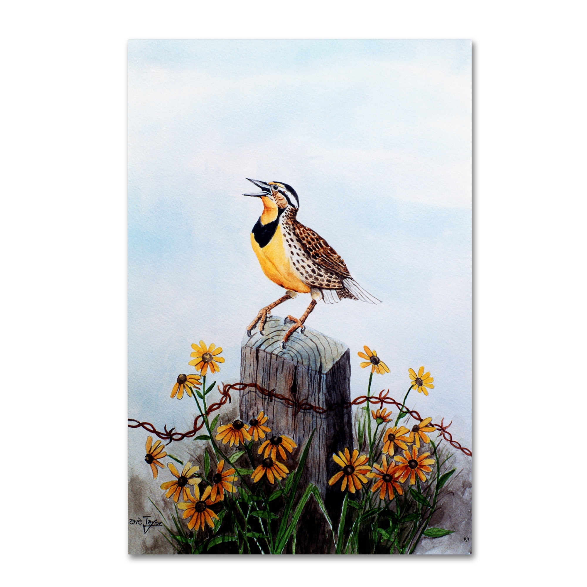 Trademark Fine Art 'Meadowlark 3' Canvas Art by Arie Reinhardt Taylor