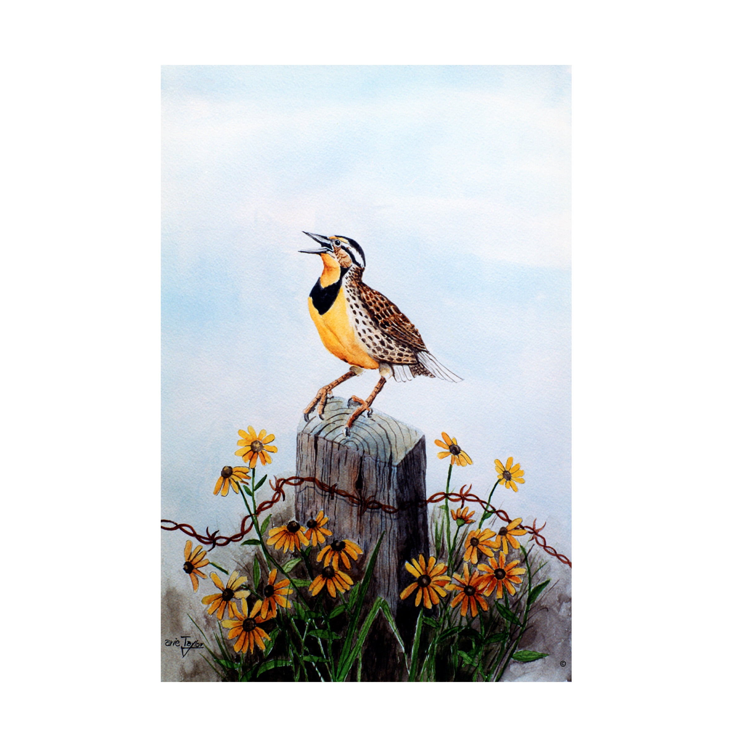 Trademark Fine Art 'Meadowlark 3' Canvas Art by Arie Reinhardt Taylor