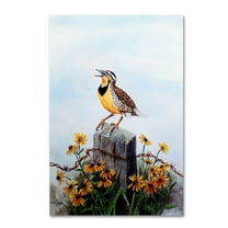 Trademark Fine Art 'Meadowlark 3' Canvas Art by Arie Reinhardt Taylor