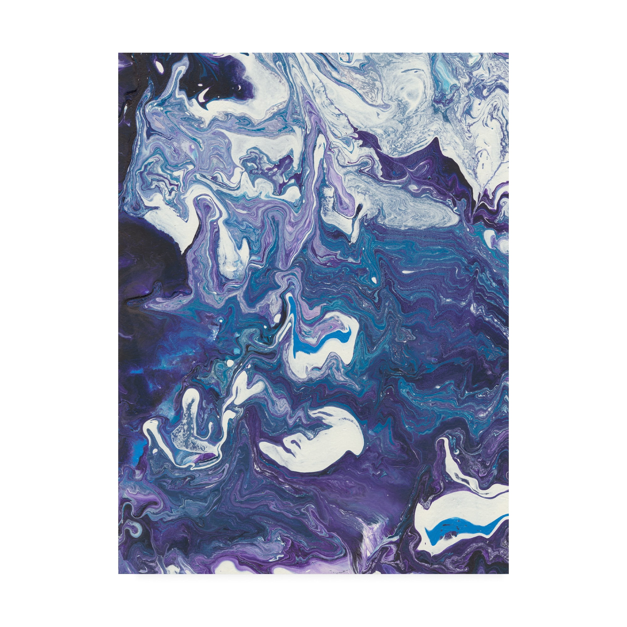 Trademark Fine Art 'Meandering Mulberry I' Canvas Art by Regina Moore