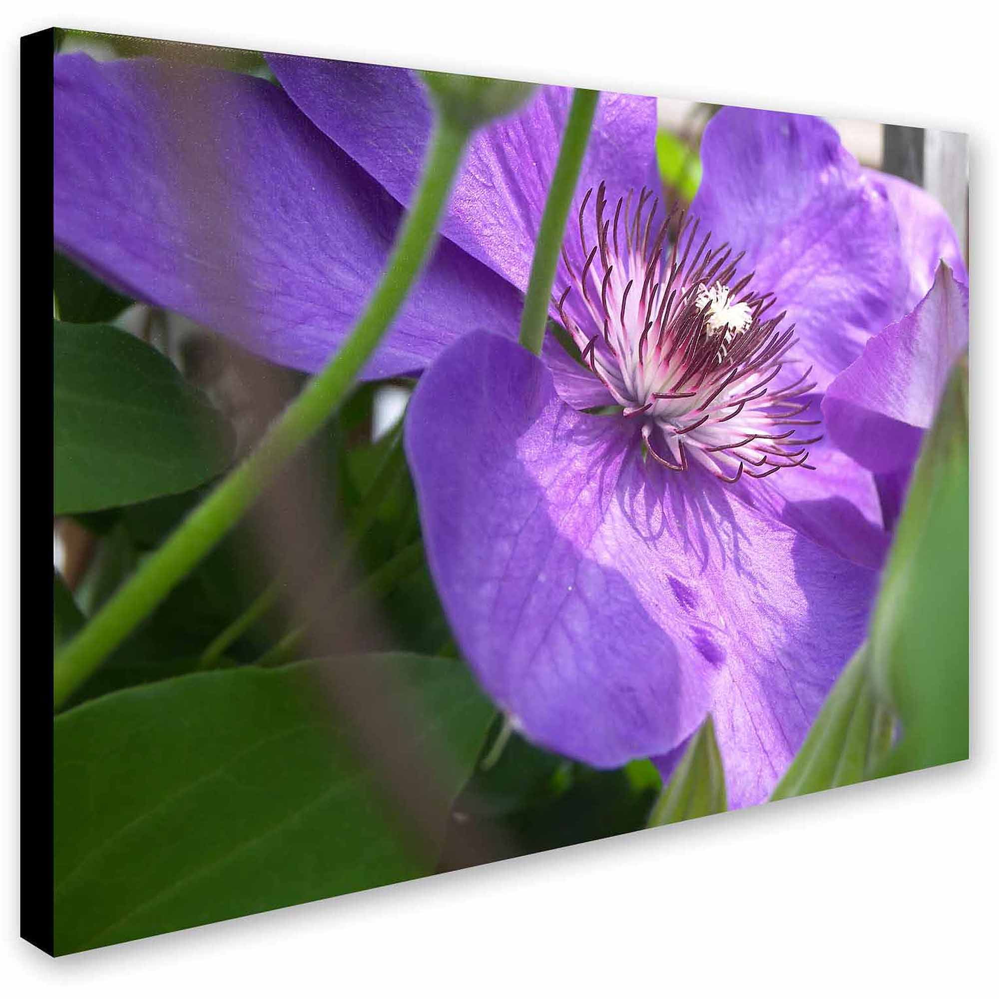 Trademark Fine Art "Meaningful Bliss" Canvas Art by Monica Fleet