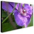 thumbnail image 1 of Trademark Fine Art "Meaningful Bliss" Canvas Art by Monica Fleet, 1 of 3