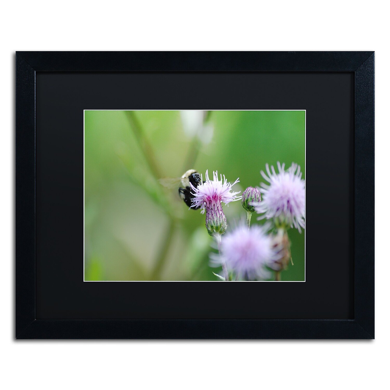 Trademark Fine Art "Meant to Be" Canvas Art by Monica Mize, Black Matte, Black Frame
