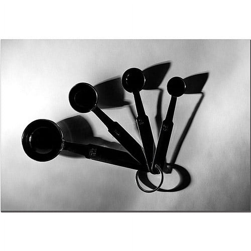 Trademark Fine Art "Measuring Spoons" Canvas Art by Tammy Davison