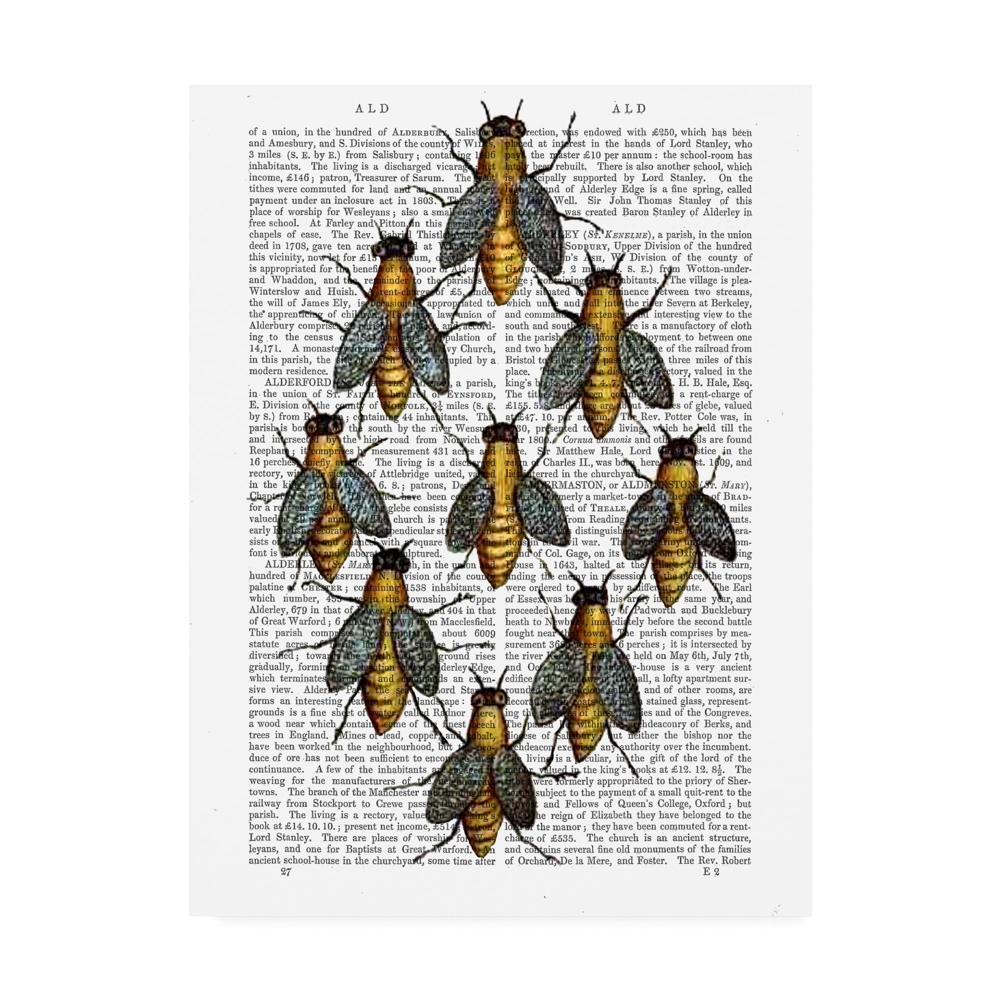 Trademark Fine Art 'Medieval Bees' Canvas Art by Fab Funky