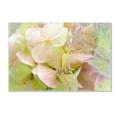 thumbnail image 1 of Trademark Fine Art 'Meditation' Canvas Art by Tina Lavoie, 1 of 3