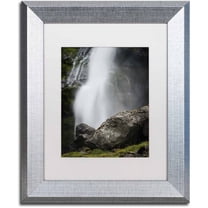 Trademark Fine Art 'Meditative Falls' Canvas Art by Philippe Sainte-Laudy, White Matte, Silver Frame