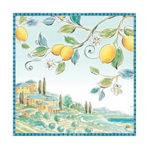 Trademark Fine Art 'Mediterranean Breeze X' Canvas Art by Daphne Brissonnet