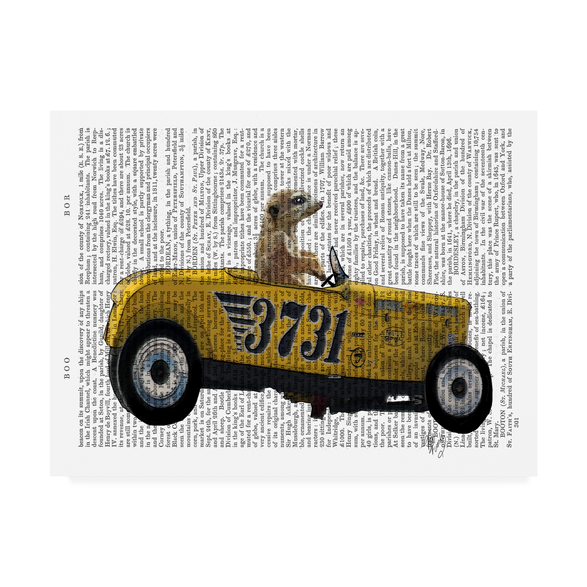 Trademark Fine Art 'Meerkat In Hot Rod' Canvas Art by Fab Funky