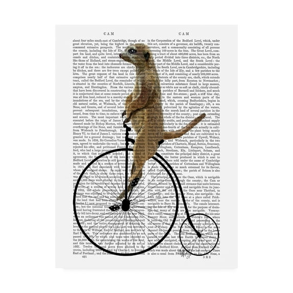 Trademark Fine Art 'Meerkat On Black Penny Farthing' Canvas Art by Fab Funky