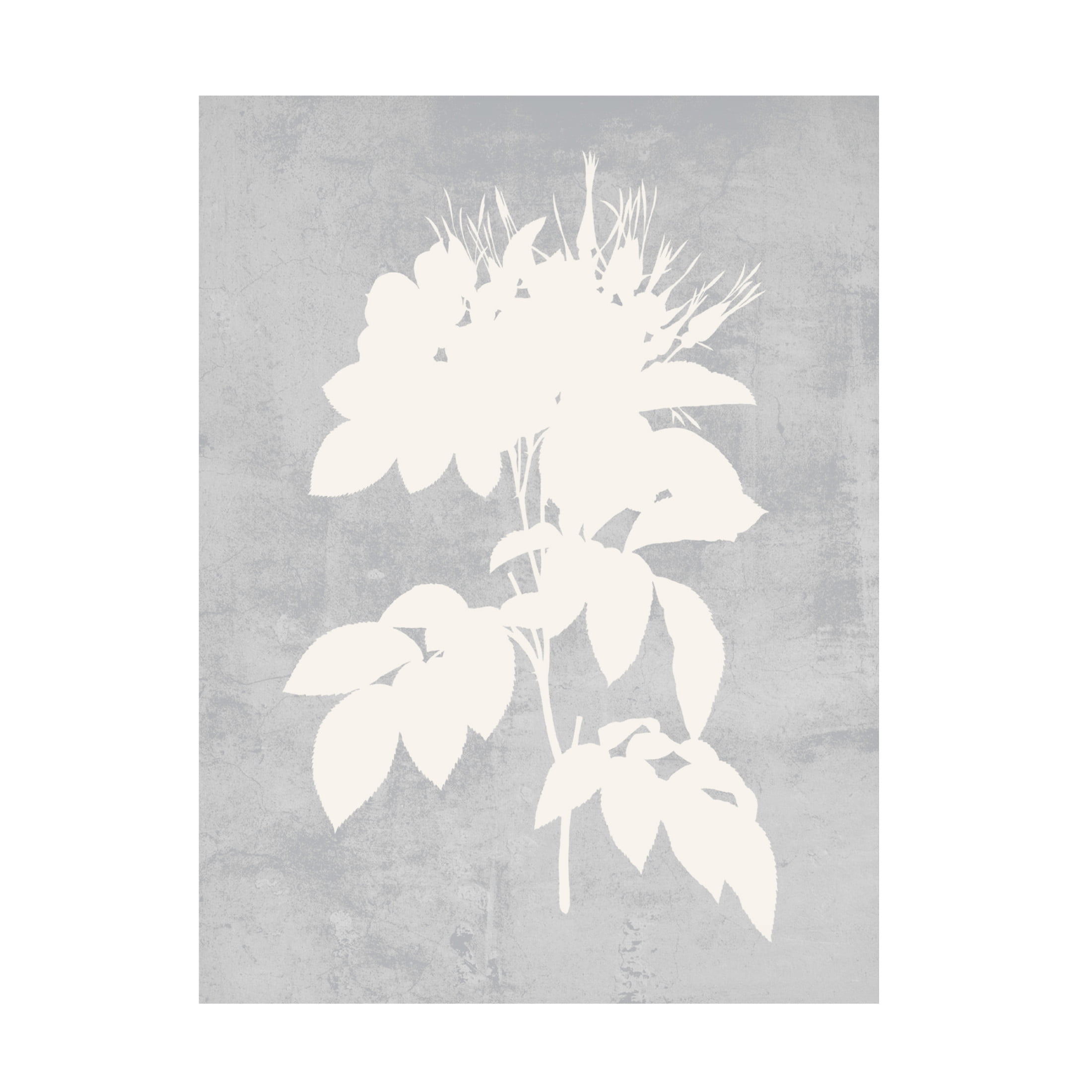 Trademark Fine Art Melissa Wang  Falling Flowers I Canvas Wall Art
