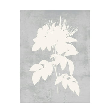 Trademark Fine Art Melissa Wang  Falling Flowers I Canvas Wall Art