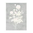 thumbnail image 1 of Trademark Fine Art Melissa Wang  Falling Flowers II Canvas Wall Art, 1 of 4