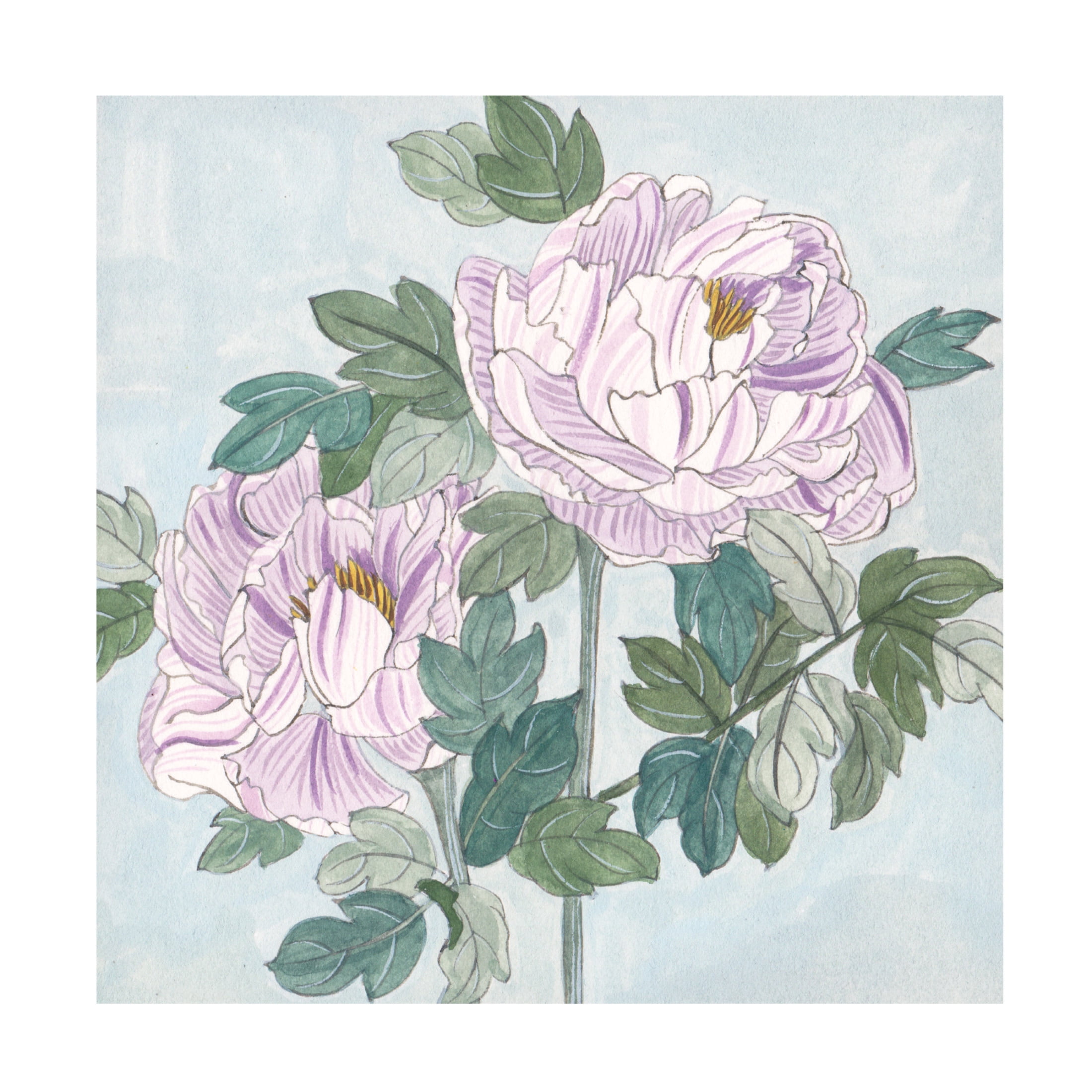 Trademark Fine Art Melissa Wang  Striped Peonies I Canvas Wall Art