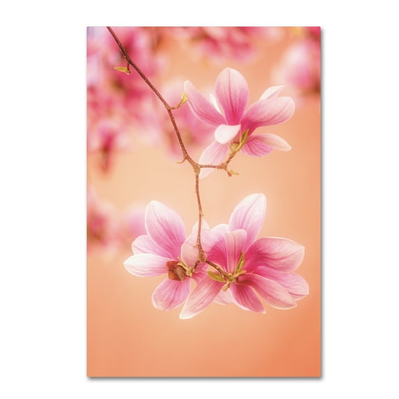 Trademark Fine Art 'Melodies Of Spring' Canvas Art by Philippe Sainte-Laudy