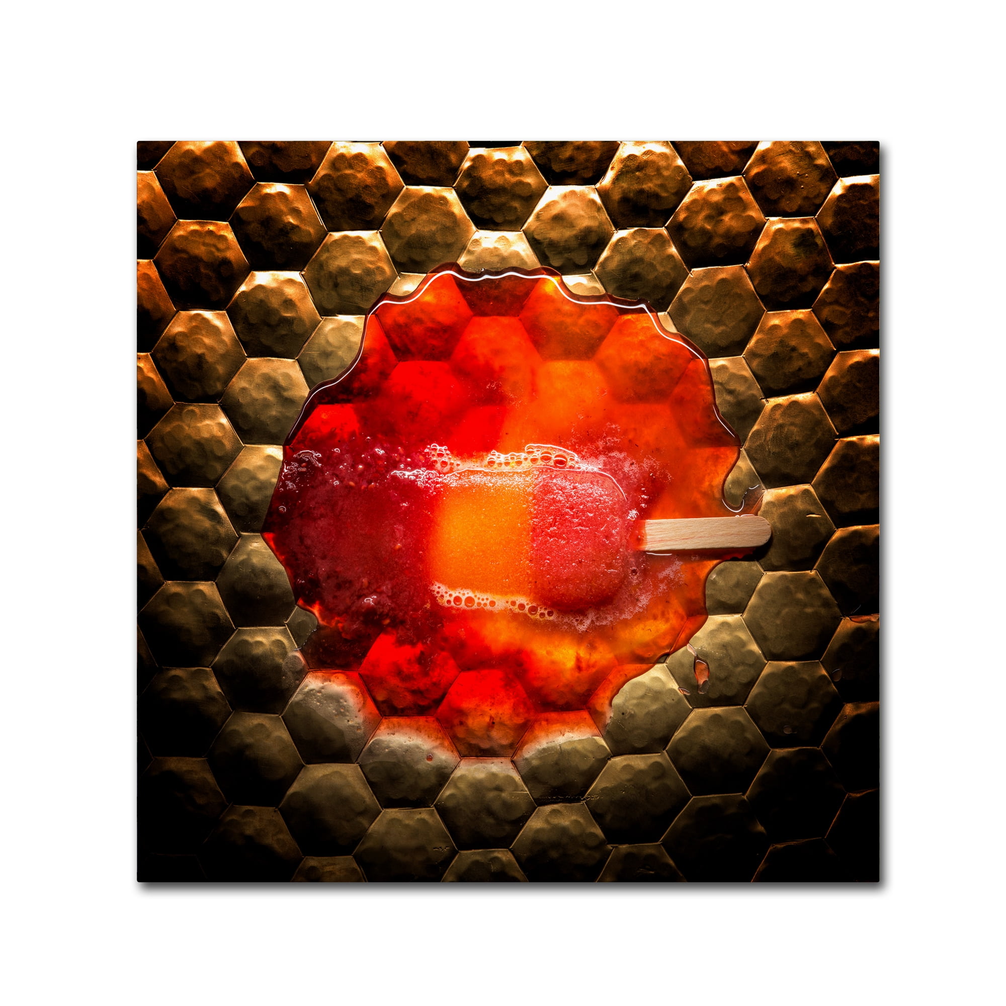 Trademark Fine Art 'Melting Popsicle' Canvas Art by Joe Felzman Photography