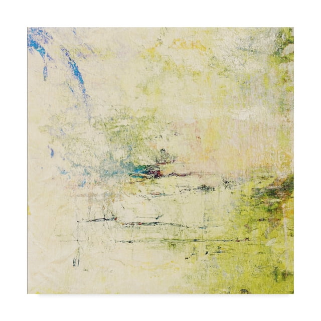 Trademark Fine Art 'Memories Of The Falls' Canvas Art by Christine O’Brien