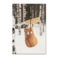 thumbnail image 1 of Trademark Fine Art 'Memories of Lapland' Canvas Art by Philippe Sainte-Laudy, 1 of 3