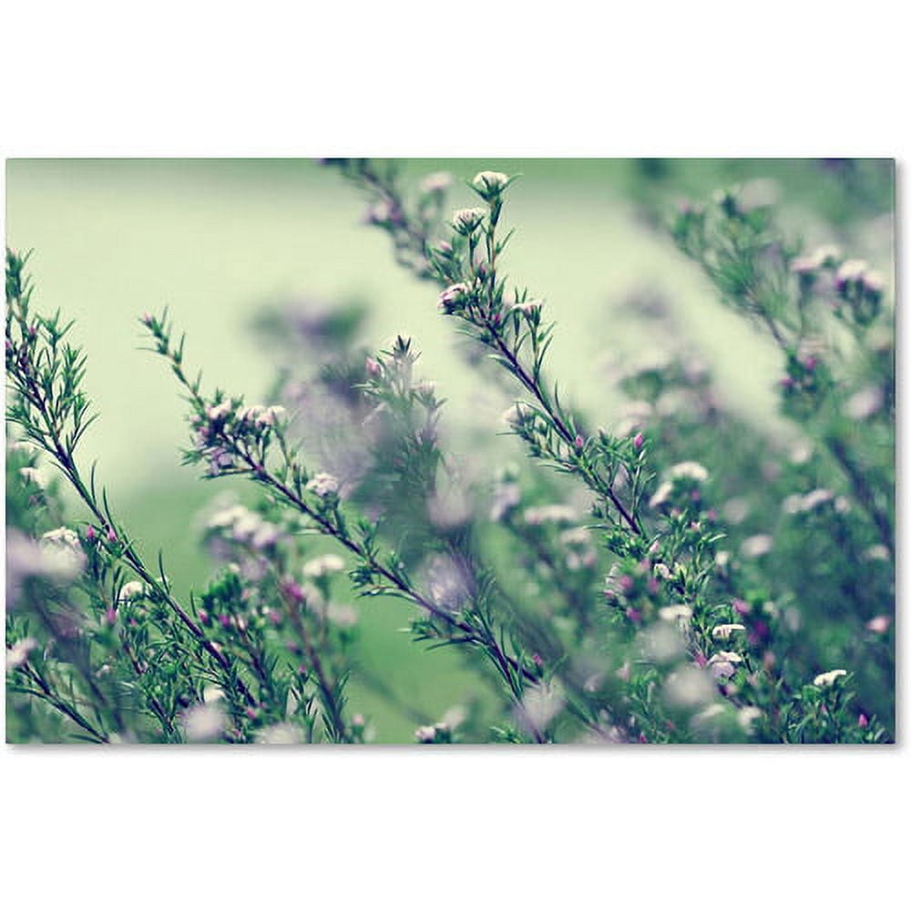 Trademark Fine Art "Memories of Summer" Canvas Art by Beata Czyzowska Young