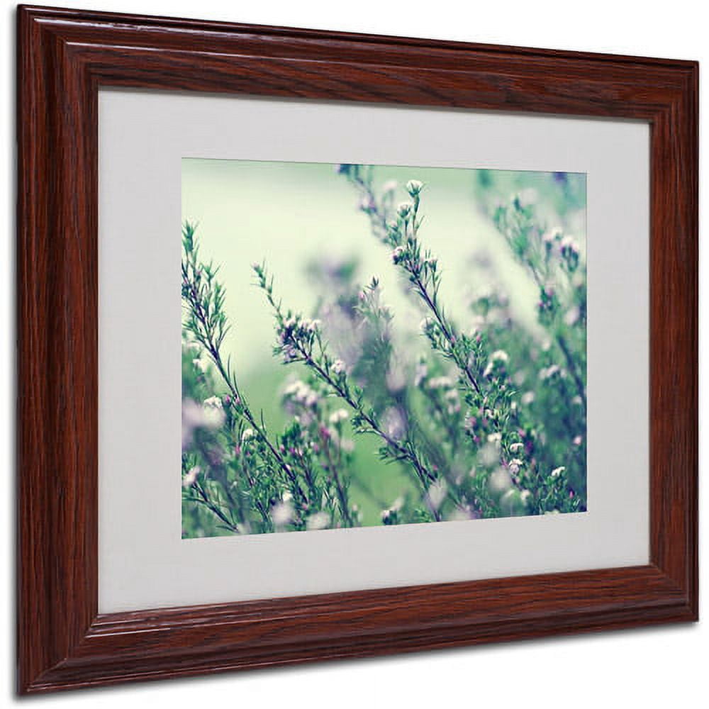 Trademark Fine Art "Memories of Summer" Framed Canvas Art by Beata Czyzowska Young