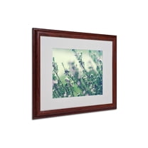 Trademark Fine Art "Memories of Summer" Framed Canvas Art by Beata Czyzowska Young