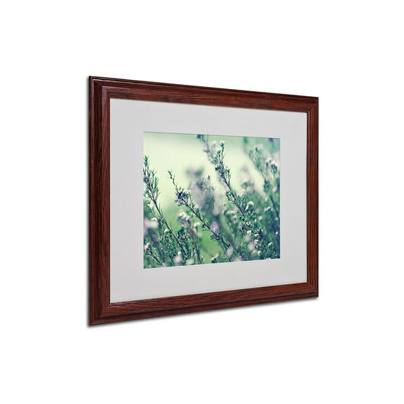 Trademark Fine Art "Memories of Summer" Framed Canvas Art by Beata Czyzowska Young