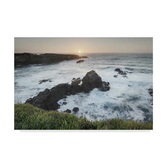 Trademark Fine Art 'Mendocino Coast' Canvas Art by Alan Majchrowicz