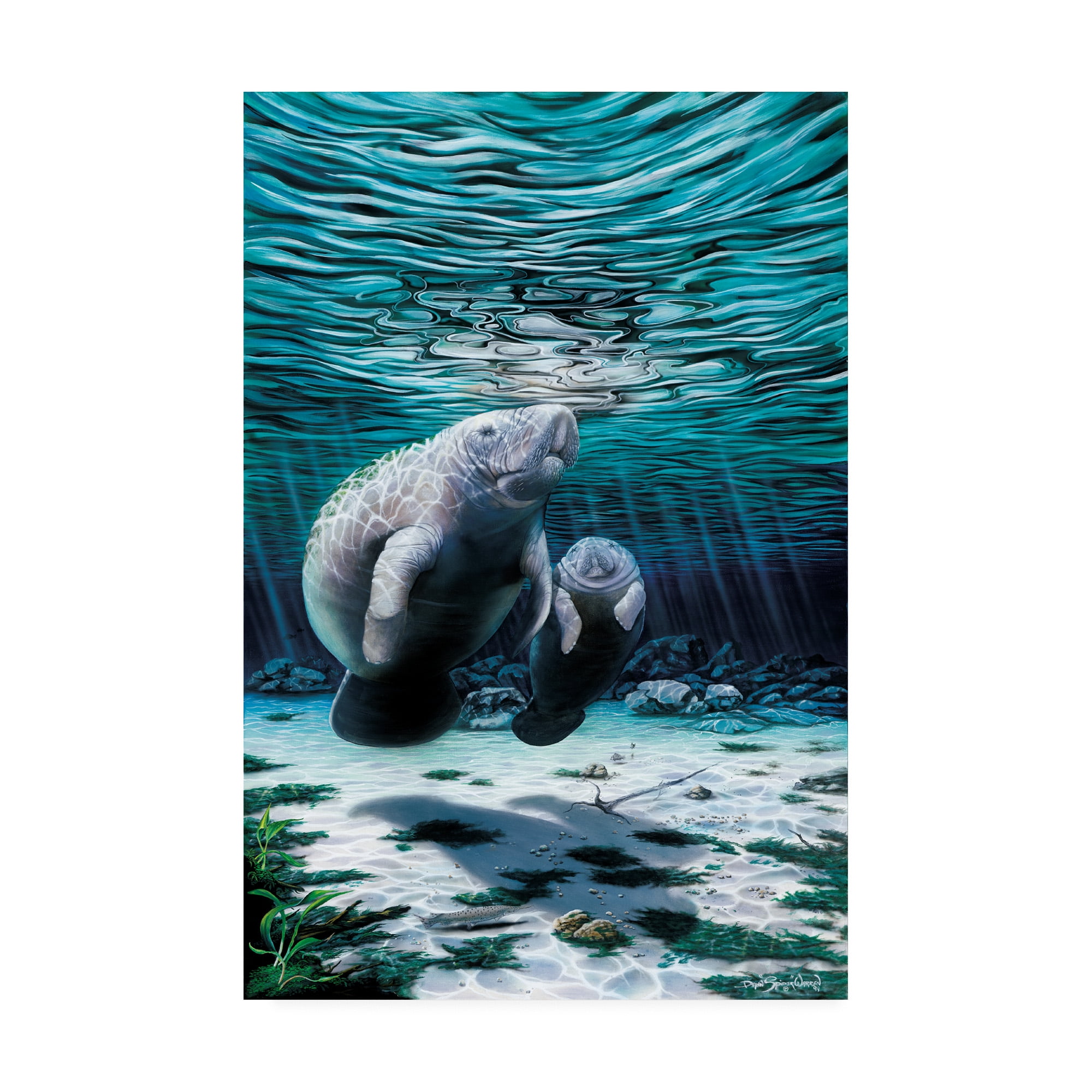 Trademark Fine Art 'Mermaids Of Crystal River' Canvas Art by Dann Spider Warren