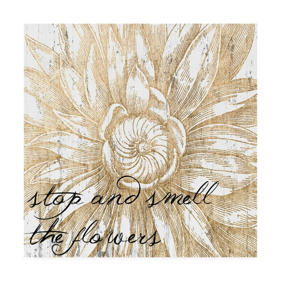 Trademark Fine Art 'Metallic Floral Quote I' Canvas Art by Jarman Fagalde