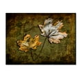 thumbnail image 1 of Trademark Fine Art 'Metallic Leaf 2' Canvas Art by LightBoxJournal, 1 of 3