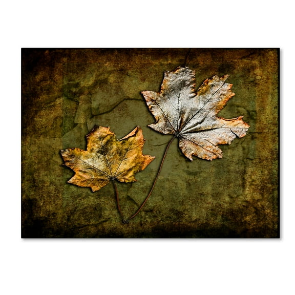 Trademark Fine Art 'Metallic Leaf 2' Canvas Art by LightBoxJournal