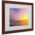 thumbnail image 1 of Trademark Fine Art "Metallic Sunset" Matted Framed Art by Philippe Sainte-Laudy, 1 of 2