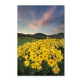 thumbnail image 1 of Trademark Fine Art 'Methow Valley Wildflowers I' Canvas Art by Alan Majchrowicz, 1 of 3