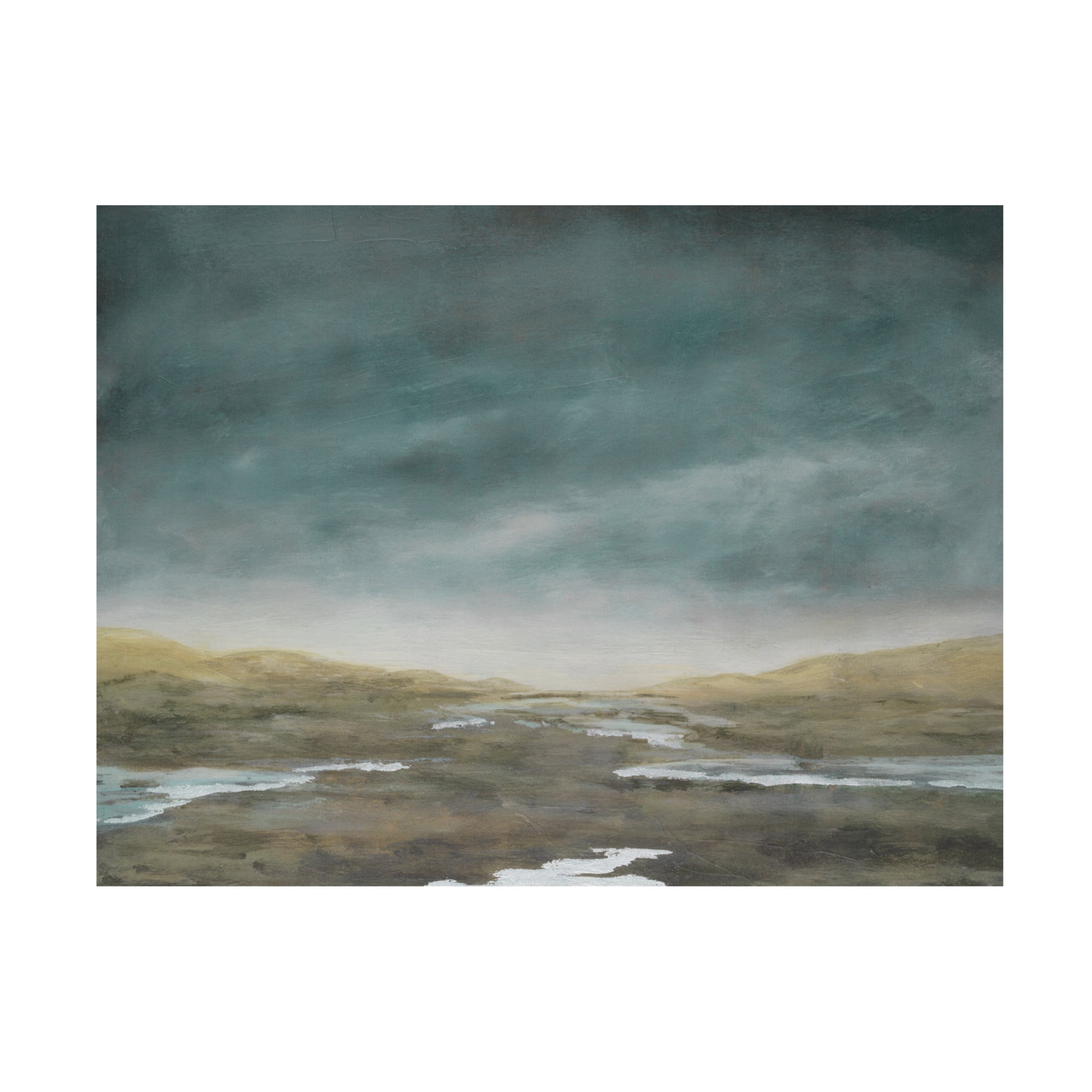 Trademark Fine Art Michael Willett  Basin Squall I Canvas Wall Art